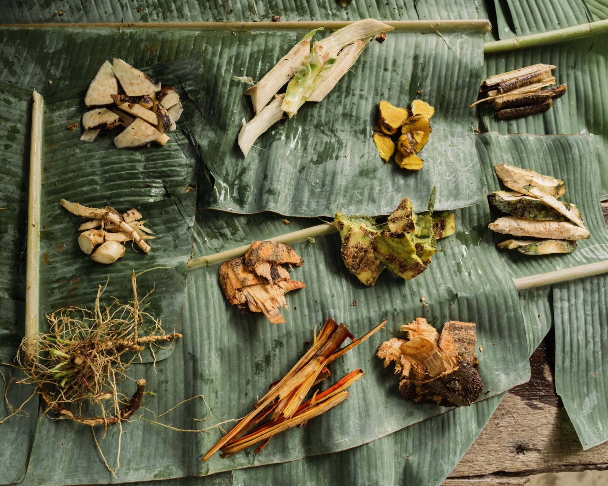 Baan Tepa Bangkok: Creative Thai Fine Dining in a Family Home With a Garden image 2