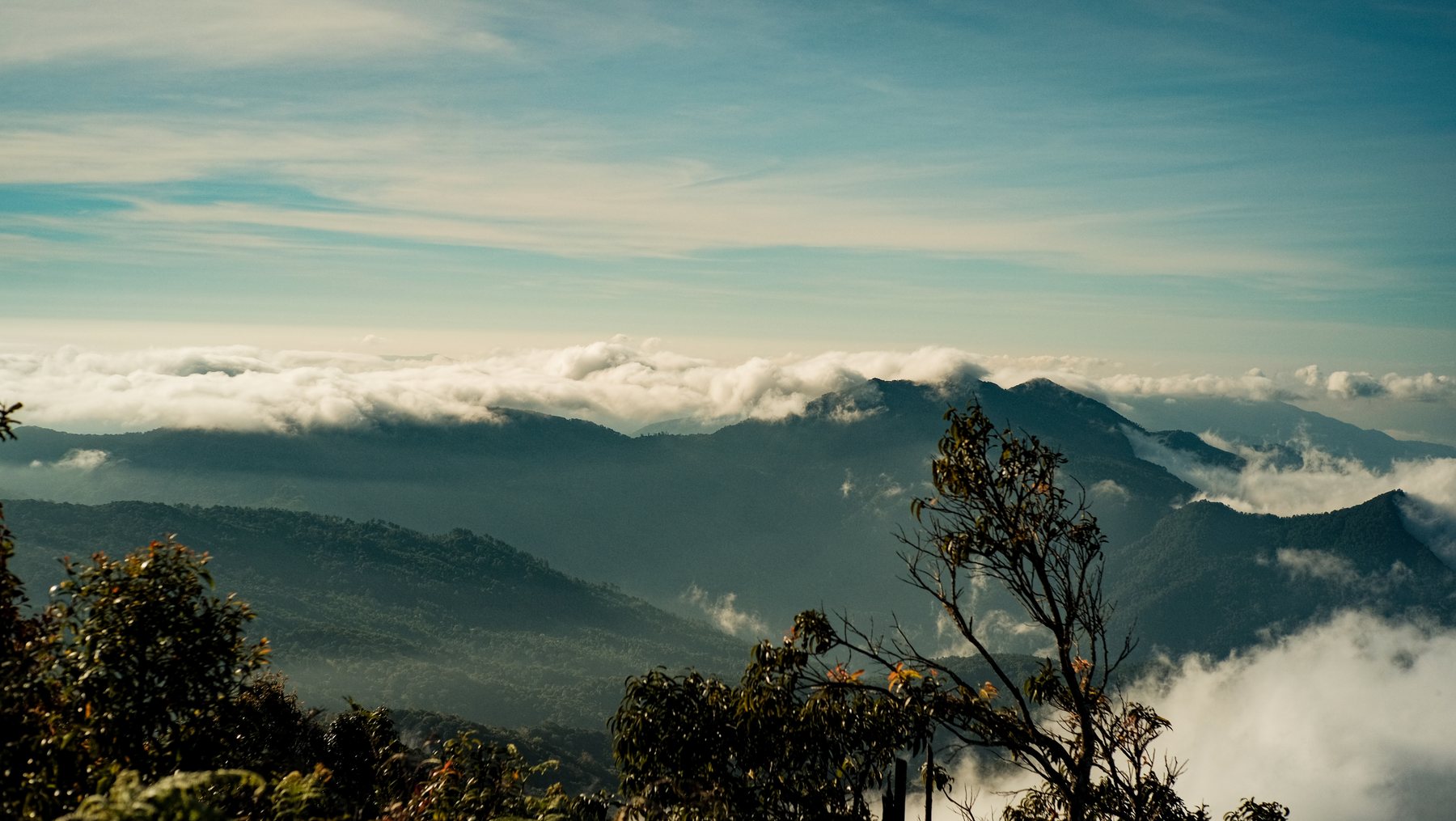 Mountain view in Doi Inthanon National Park