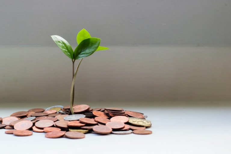 The Finest Money Guide for Thailand: Banking, Transfers, Taxes, and Investment