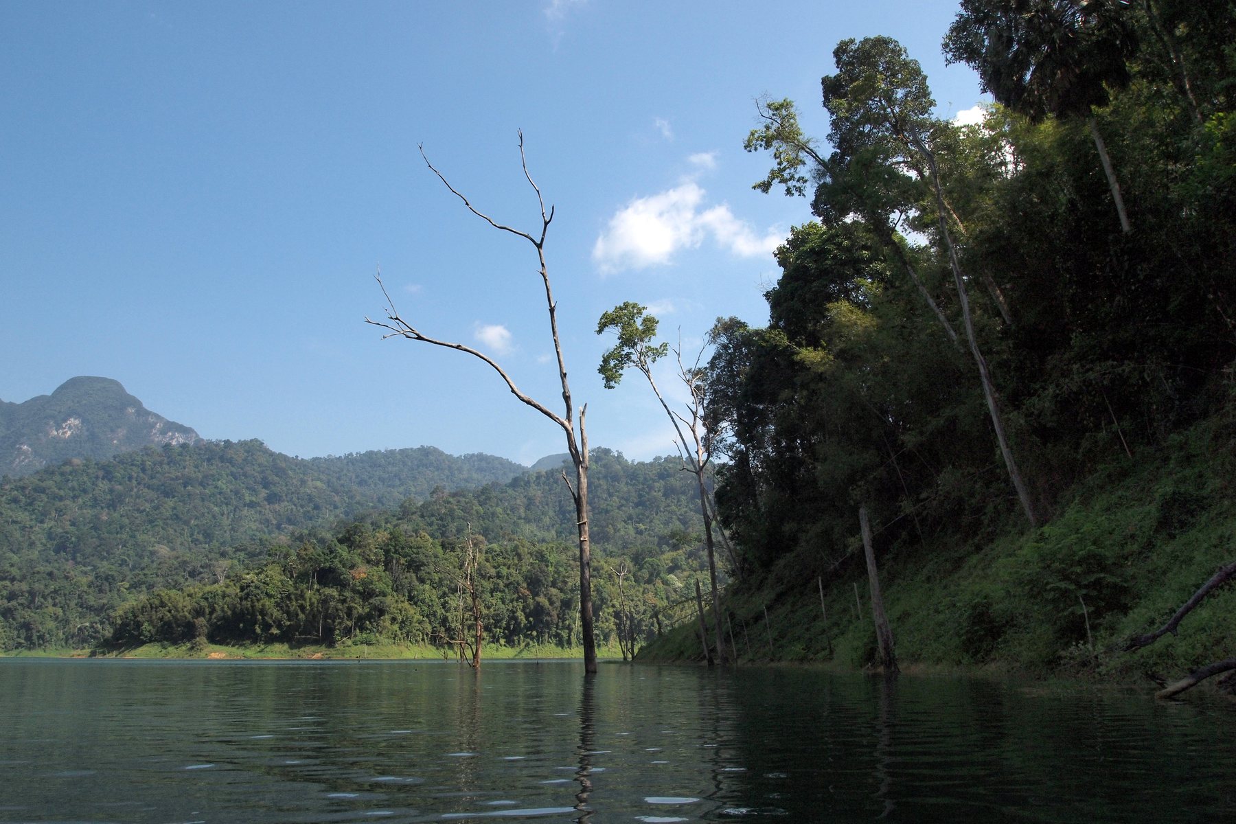 Cheow Lan Lake in Khao Sok National Park