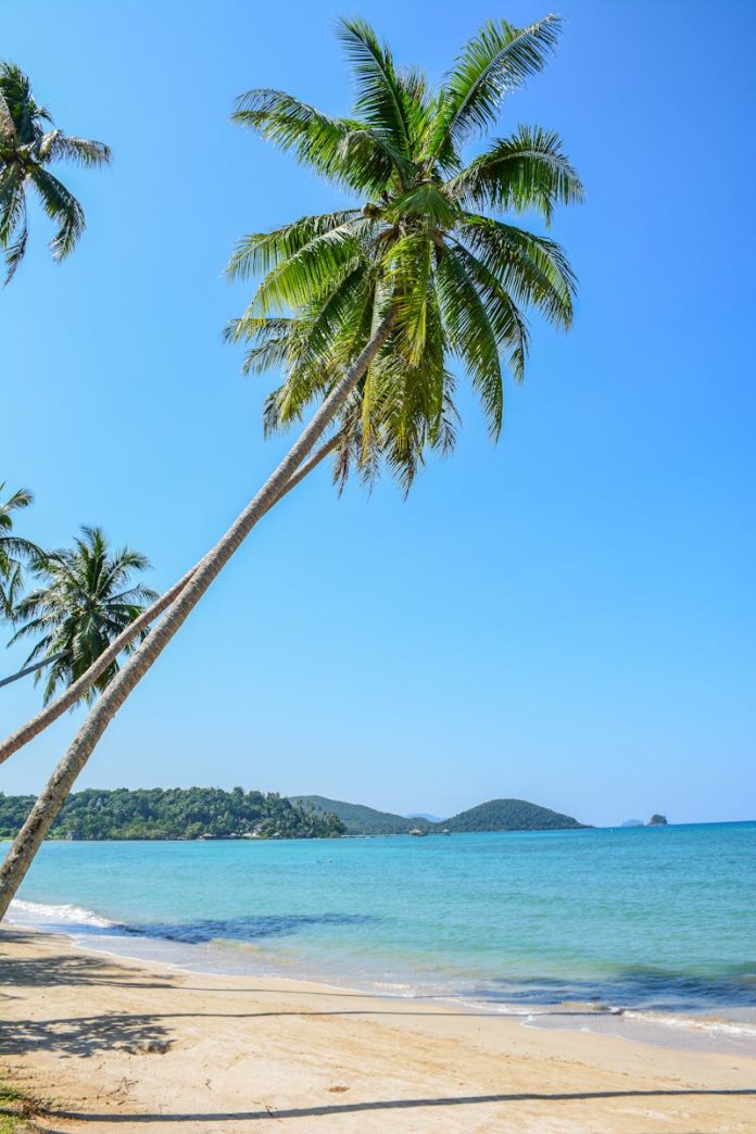 koh-lanta-nomad-community-1