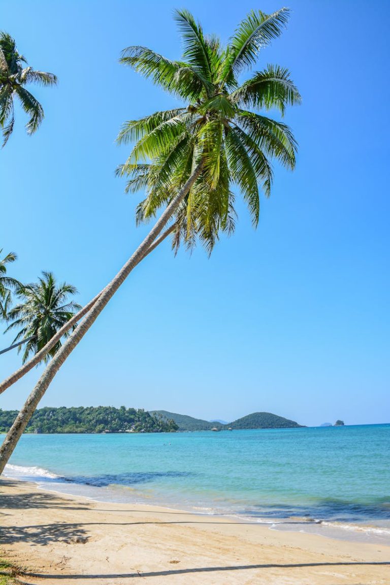 Koh Lanta for Digital Nomads: Island Life with Reliable WiFi