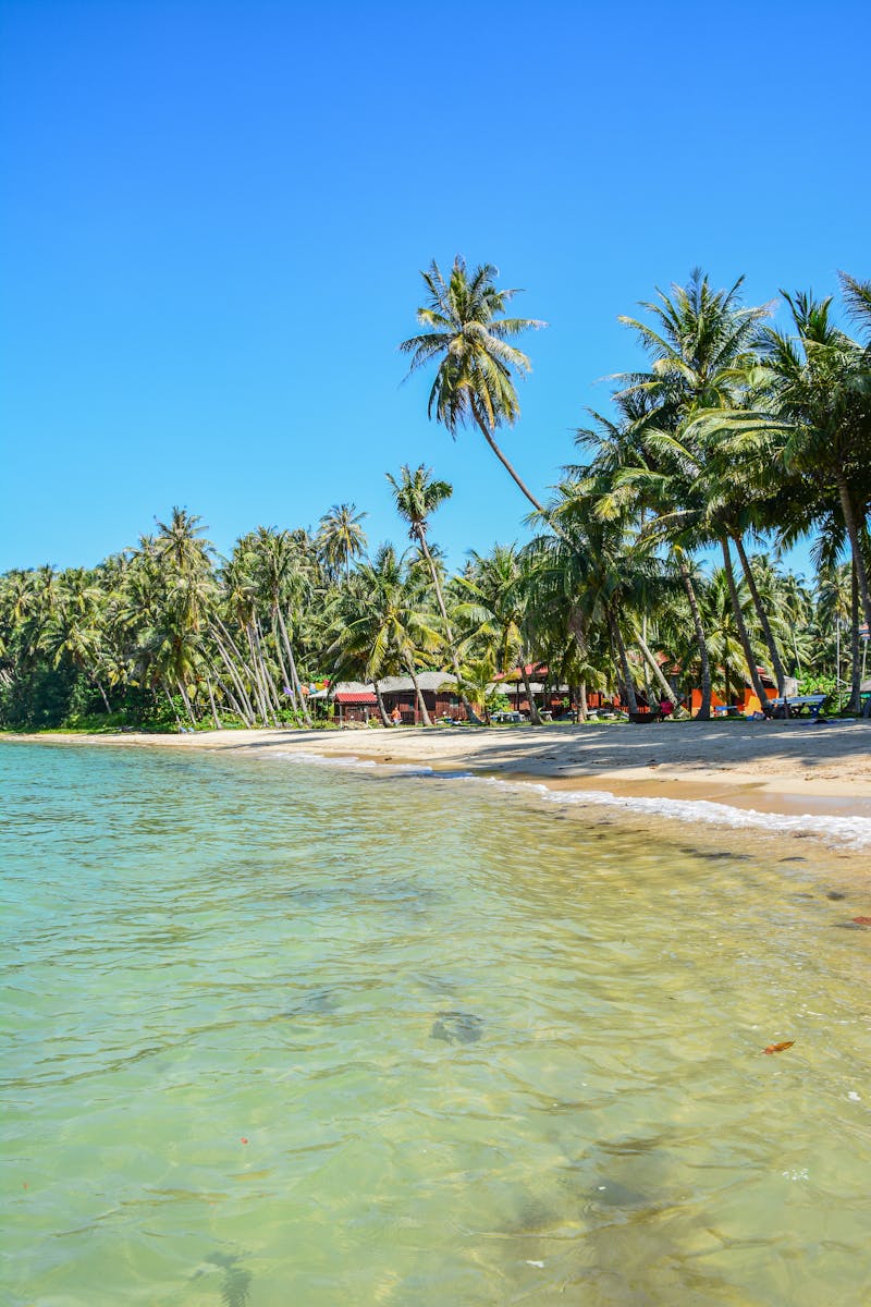 Koh Lanta nomad community