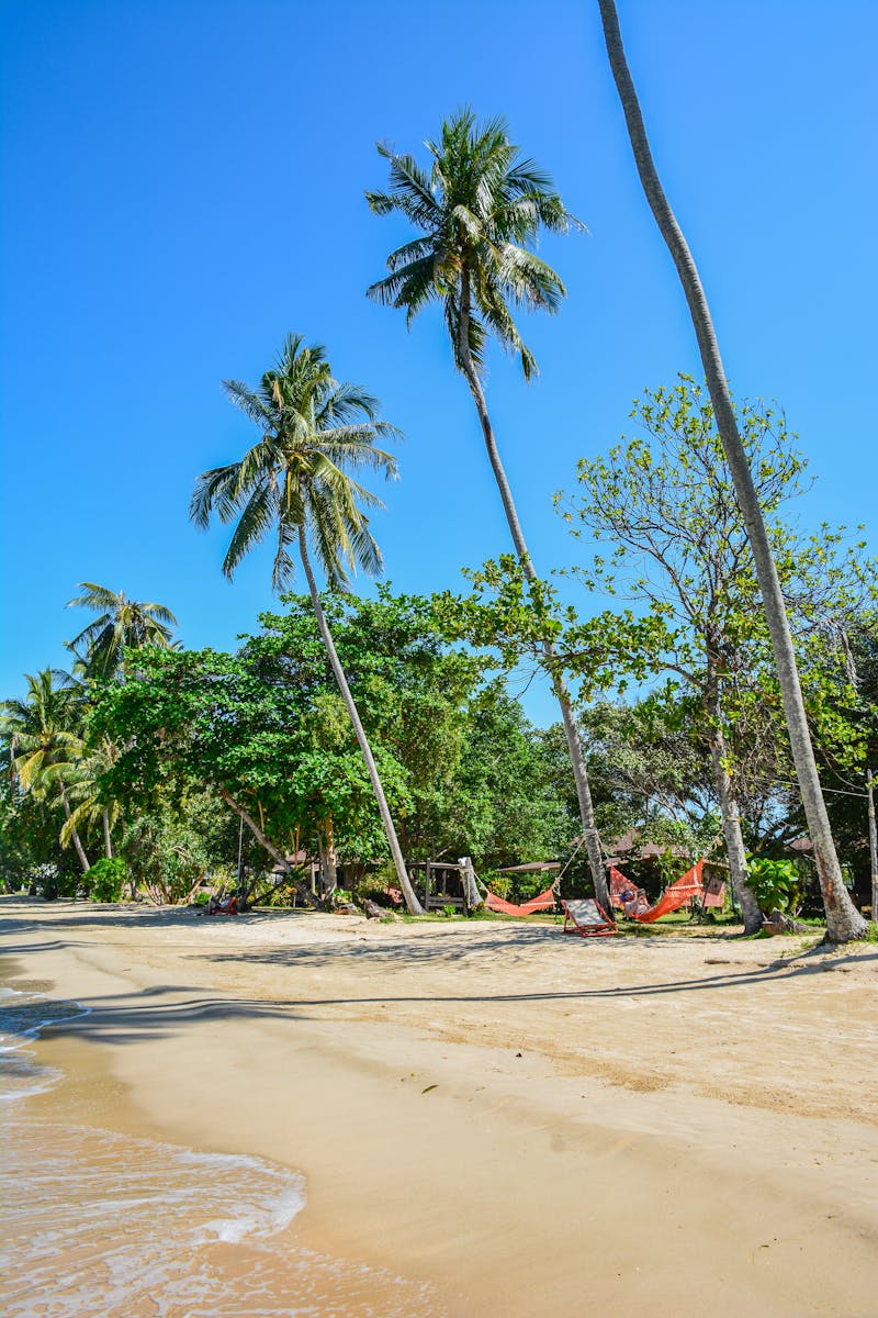 Koh Lanta nomad community