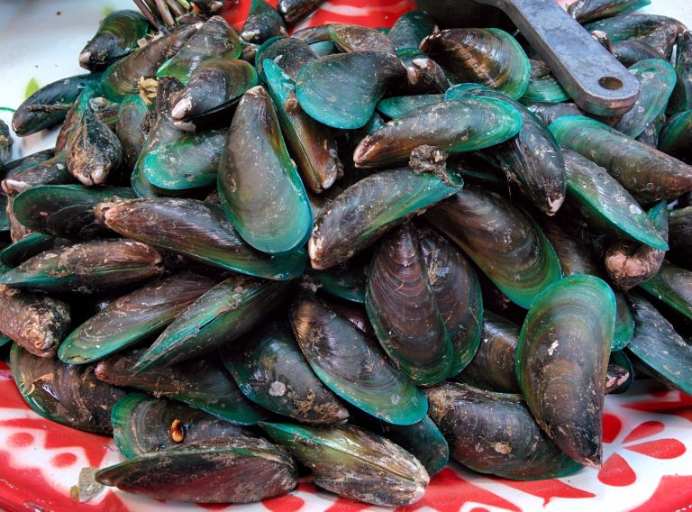 Prepared seafood dish at Or Tor Kor Market in Bangkok