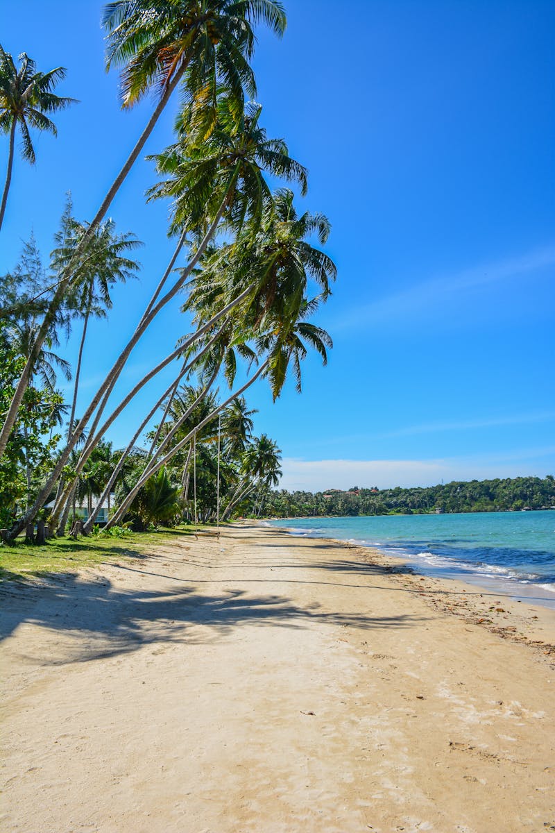 Thailand travel deals