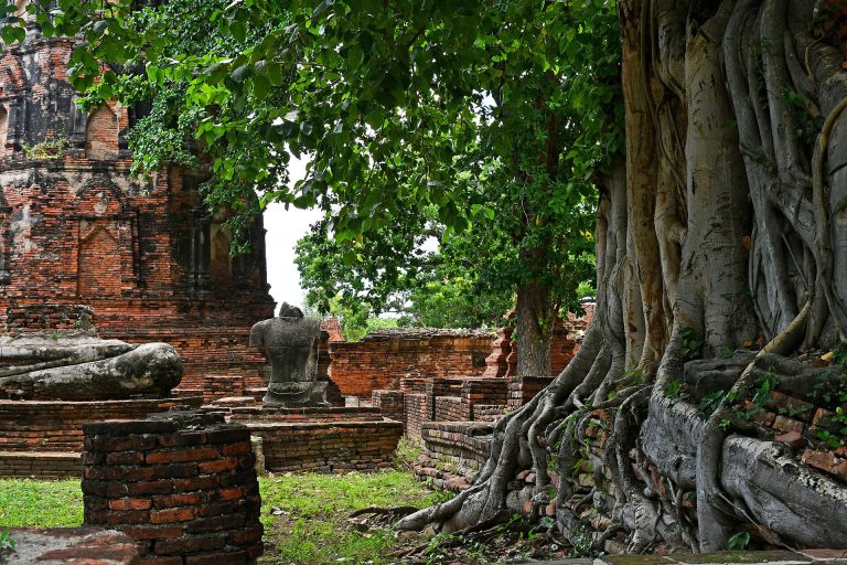 Ayutthaya Historical Park image 1