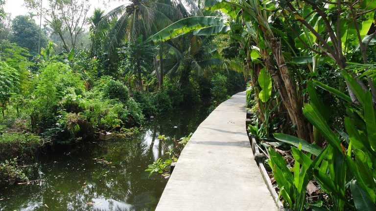 Shaded cycling path in Bang Kachao
