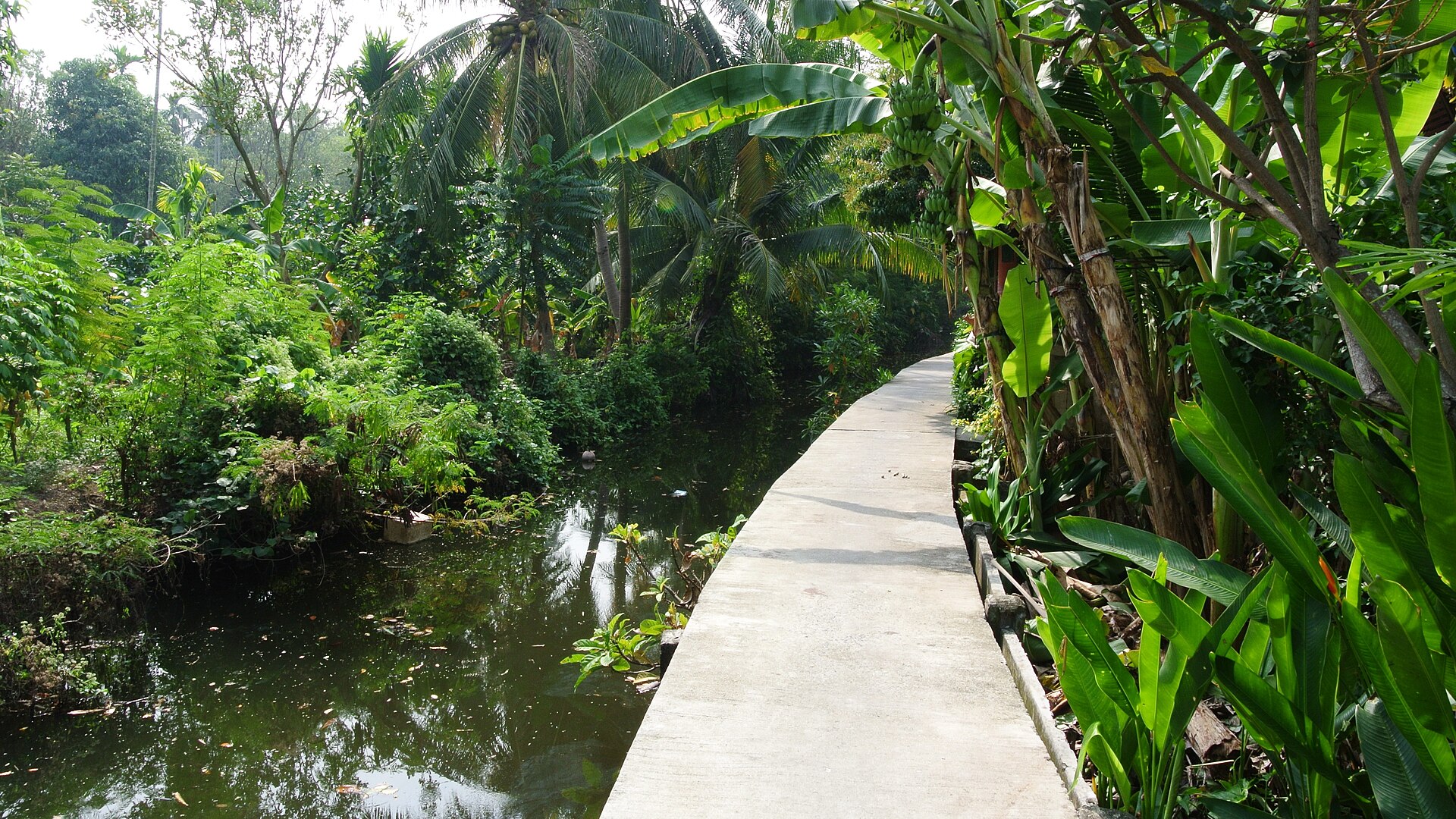 Shaded cycling path in Bang Kachao