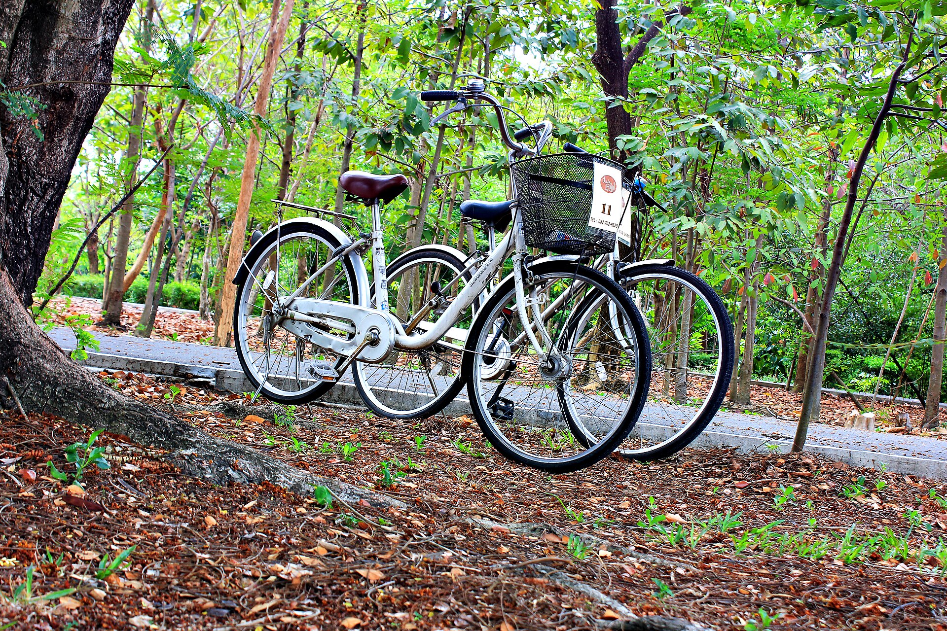 Cyclists riding in Bang Kachao Samut Prakan