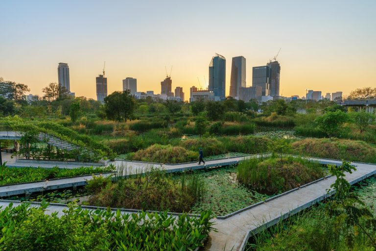Wetland landscape at Benjakitti Forest Park Bangkok