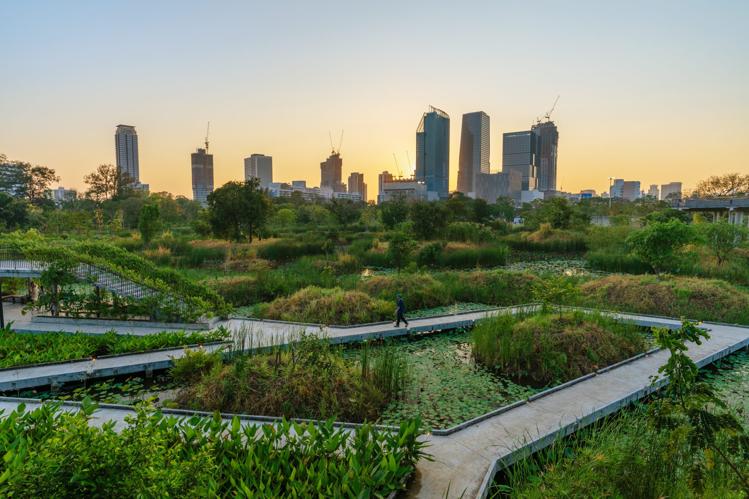 Wetland landscape at Benjakitti Forest Park Bangkok