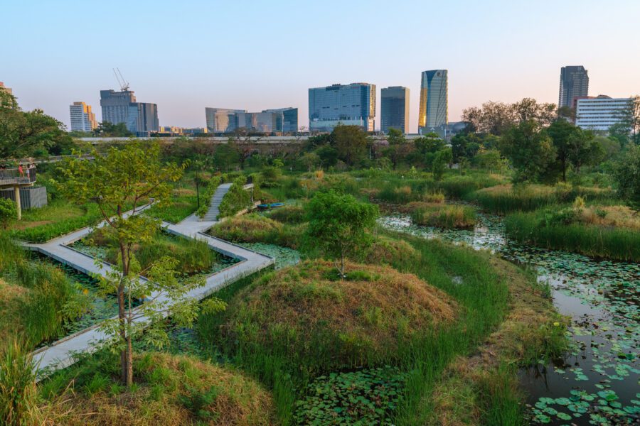 Walking path through Benjakitti Forest Park in Bangkok