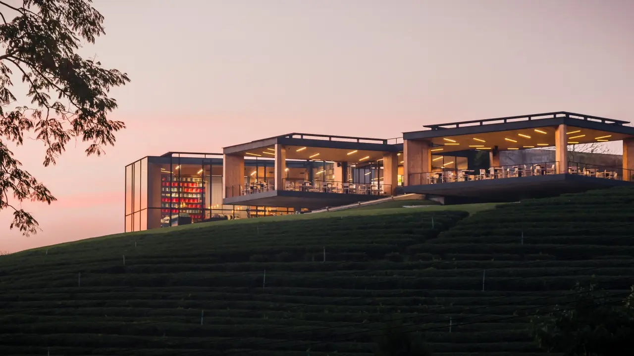 Choui Fong Tea Plantation cafe and tea fields in Chiang Rai