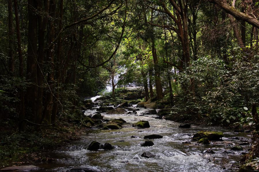 Huey Kaew waterfall in Doi Suthep-Pui National Park