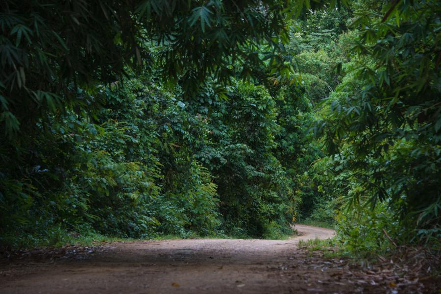 Ban Krang campsite in Kaeng Krachan National Park