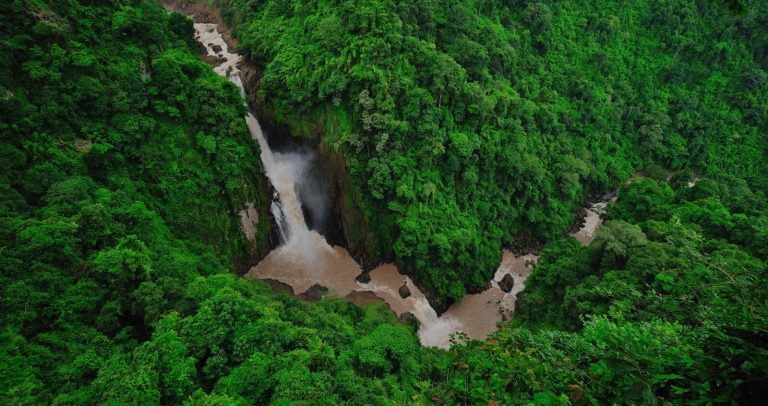 Landscape inside Khao Yai National Park Thailand