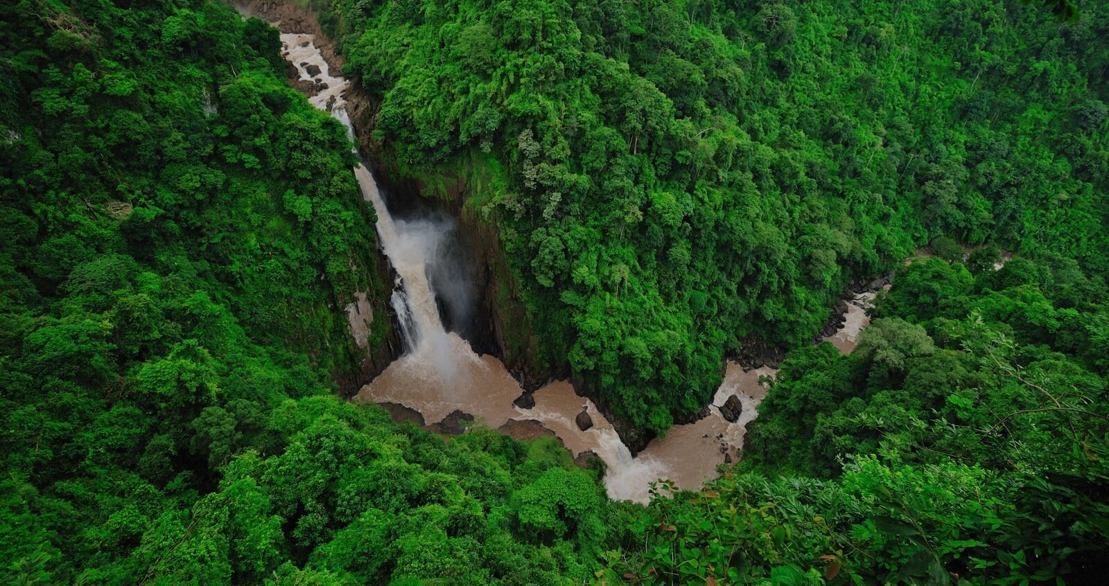 Landscape inside Khao Yai National Park Thailand