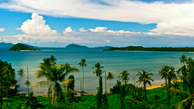 Beach and palms on Koh Mak island