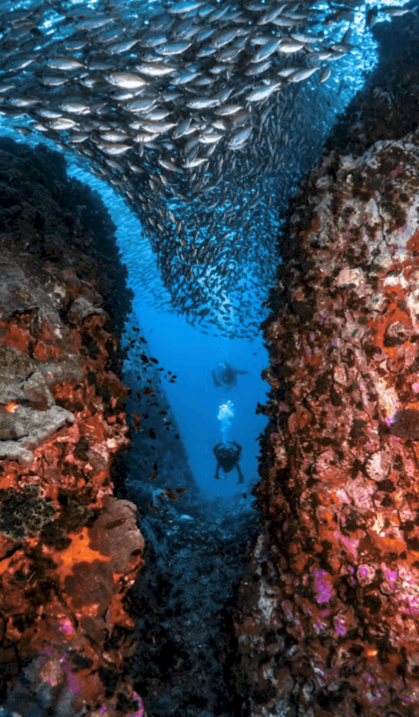 Scuba diving at Koh Tao