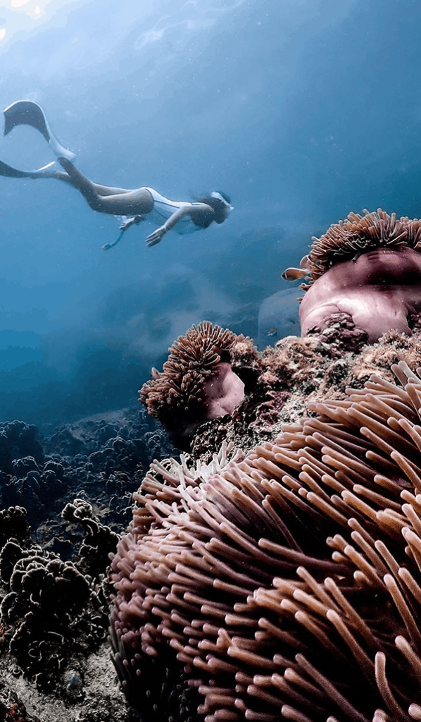 Underwater training at Koh Tao