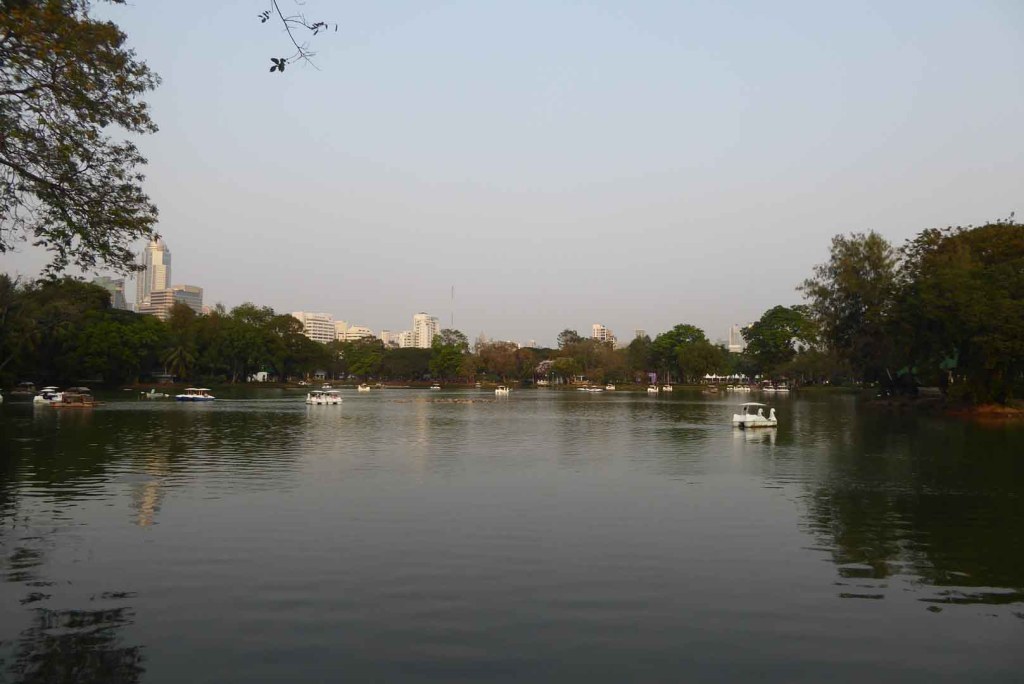 Green space at Lumphini Park in Bangkok