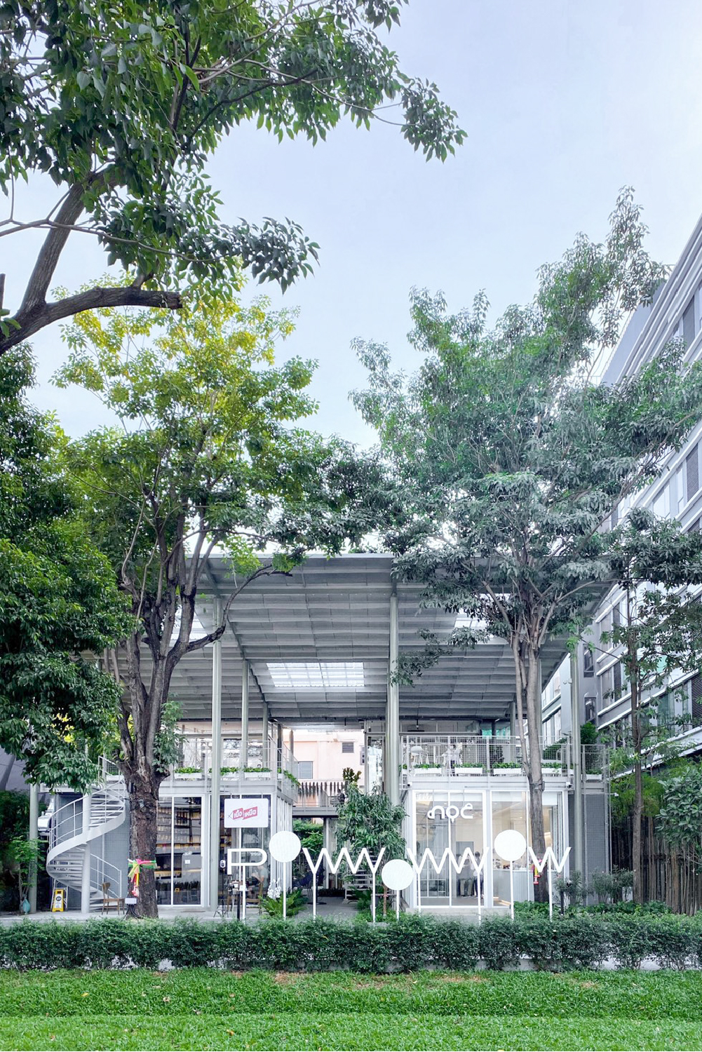 Greenery around NOC Coffee Bangkok at POWWOWWOW