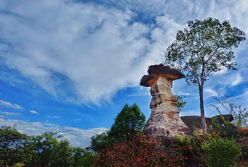 Mushroom-shaped rock formation at Pha Taem National Park