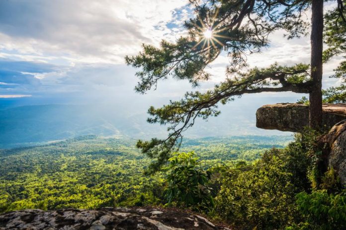 Lom Sak Cliff viewpoint at Phu Kradueng National Park