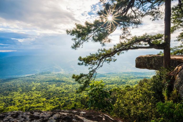 Lom Sak Cliff viewpoint at Phu Kradueng National Park