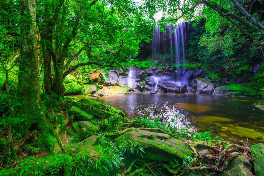 Waterfall at Phu Kradueng National Park