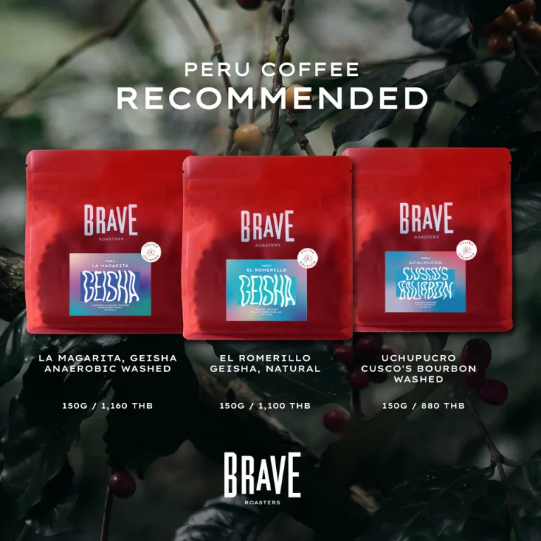 Brave Roasters Bangkok coffee setting