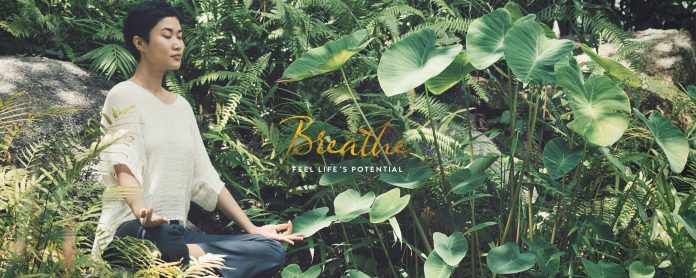 Kamalaya Koh Samui wellness sanctuary by the sea