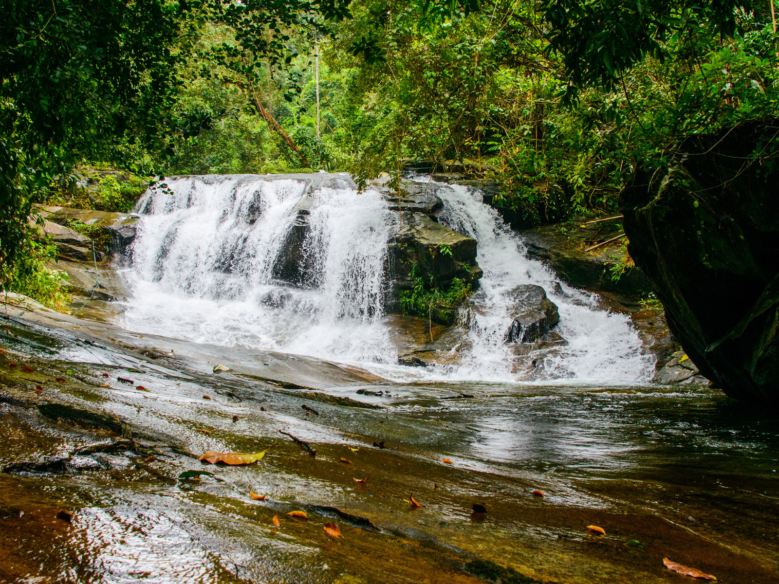 Forest landscape at Khao Chamao-Khao Wong National Park