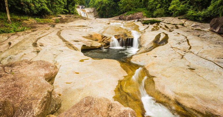 Khao Luang National Park rainforest landscape