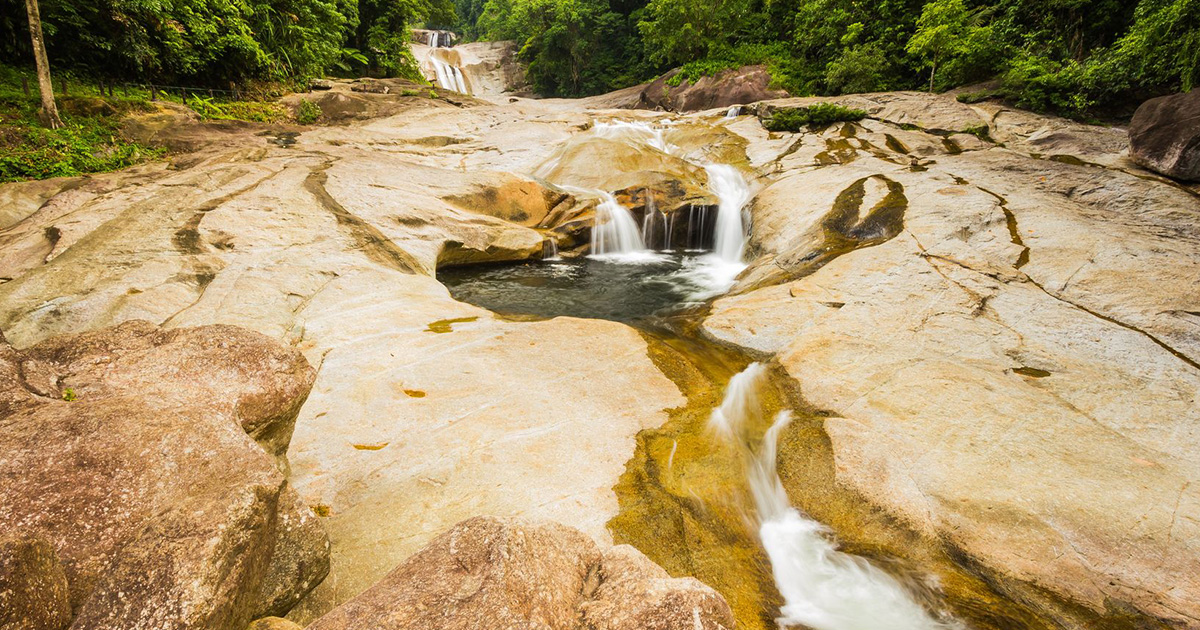 Khao Luang National Park rainforest landscape