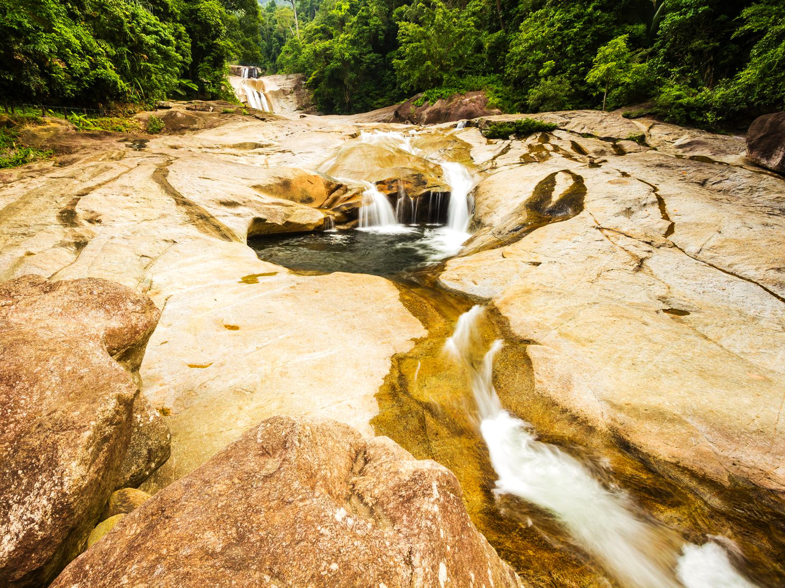 Forest scenery at Khao Luang National Park