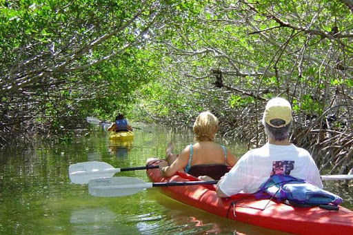Kayaking through mangroves on Koh Phayam