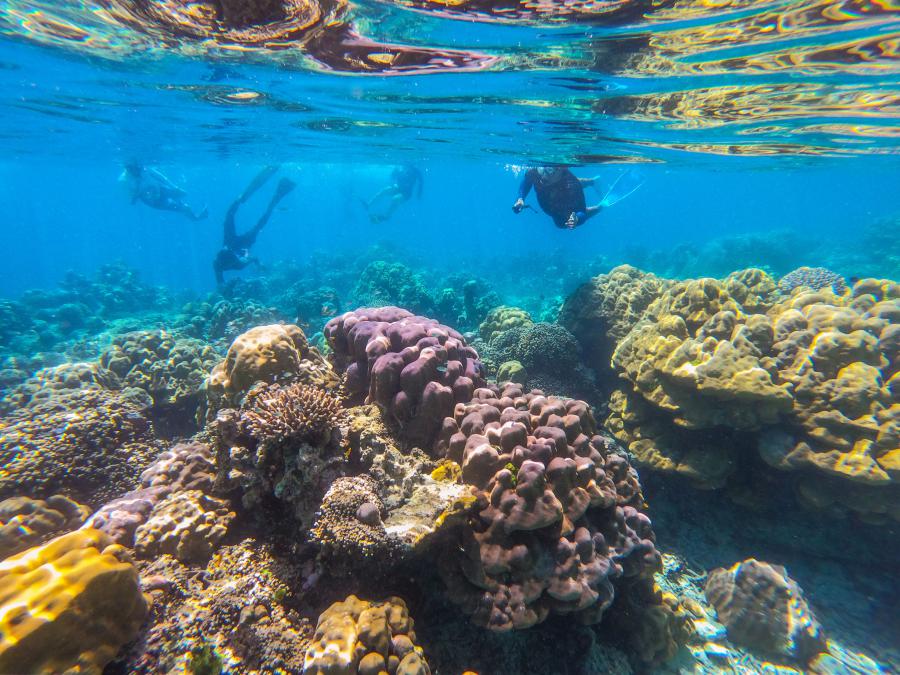 Snorkelling stop in the Surin Islands