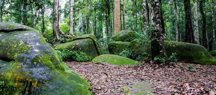 Phu Hin Rong Kla National Park landscape Mountain landscape at Phu Hin Rong Kla National Park
