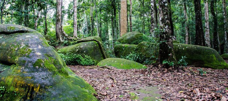Mountain landscape at Phu Hin Rong Kla National Park