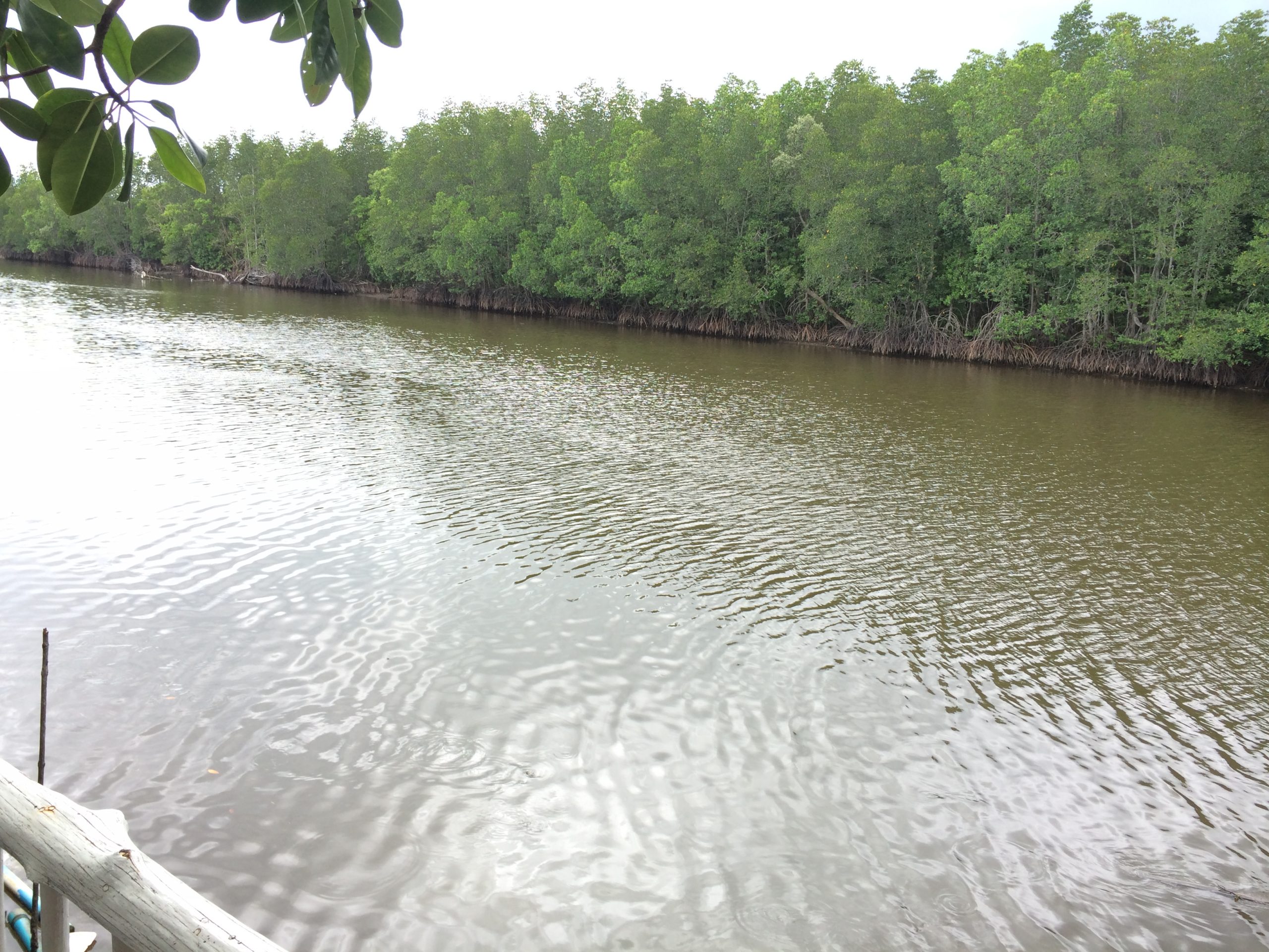 Coastal landscape in Khanom district