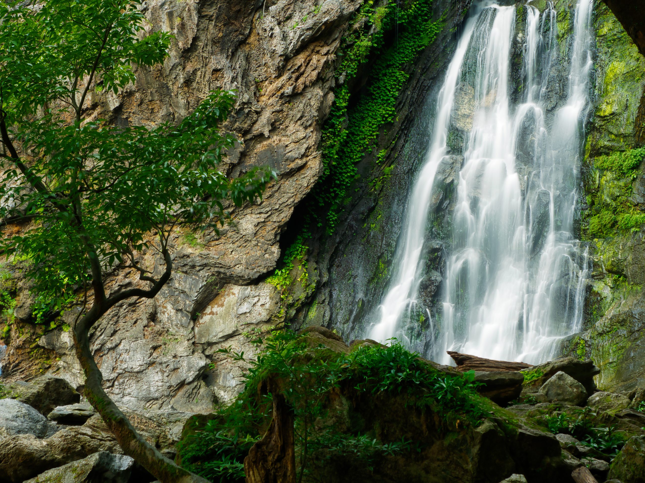 Tall forest-framed drop at Khlong Lan Waterfall