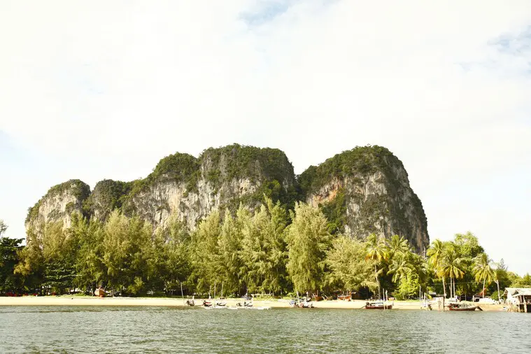 Green coastline and clear water at Ko Libong in Trang