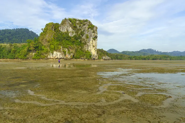 View from Khao Batu Putei on Ko Libong