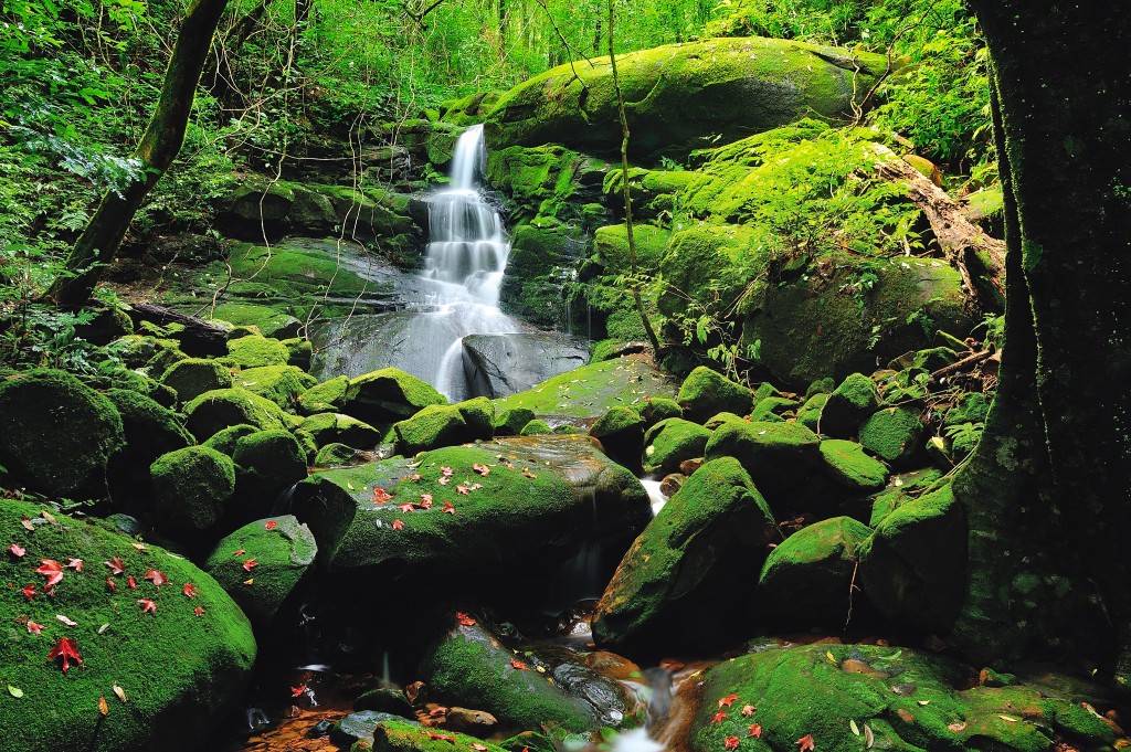 Sai Thip Waterfall in Phu Soi Dao National Park