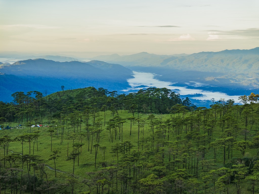 Pine plateau and mountain view at Phu Soi Dao