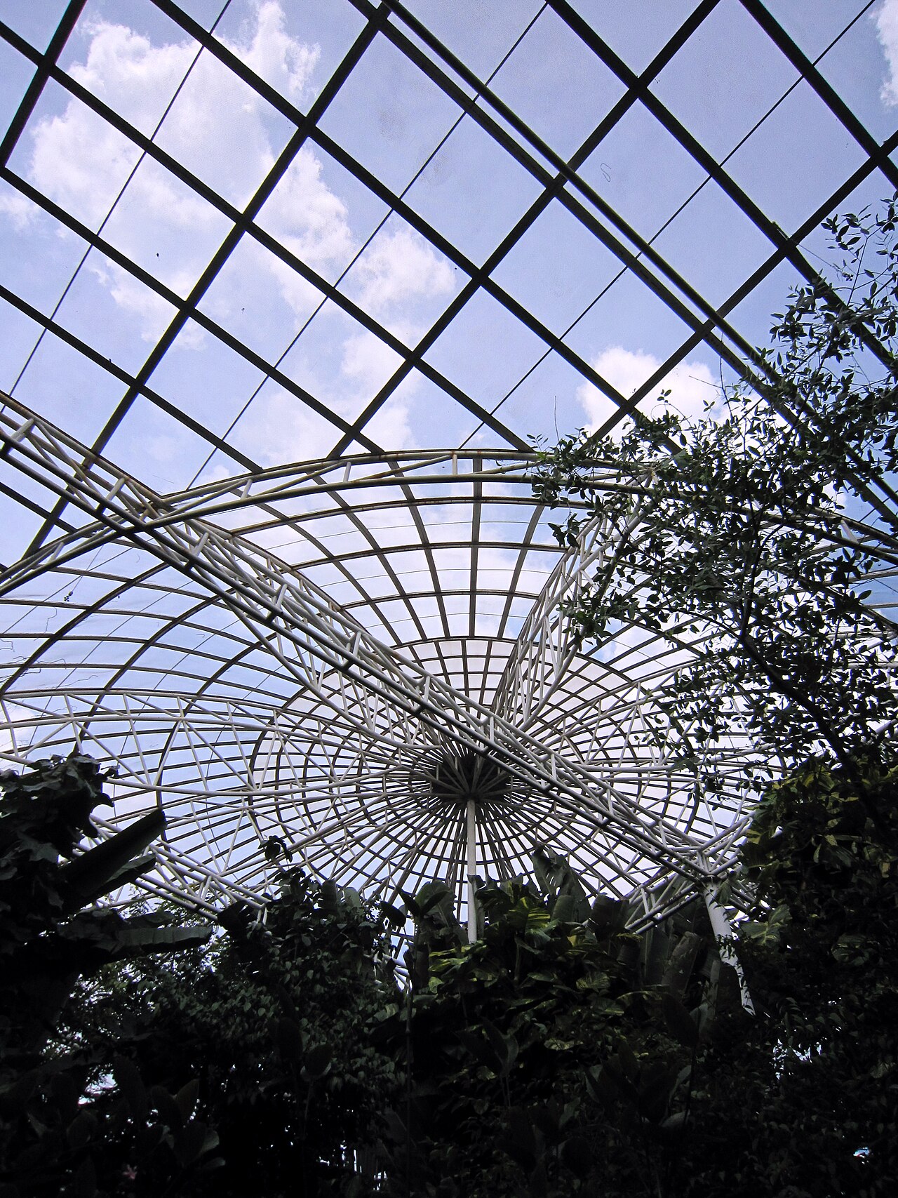 Educational display at Bangkok Butterfly Garden and Insectarium