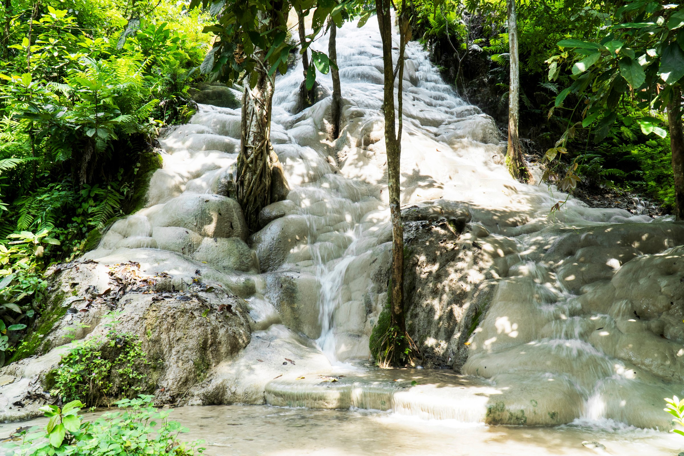The white limestone cascades of Bua Tong Waterfall in Chiang Mai
