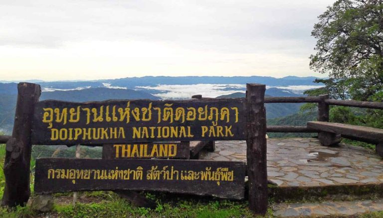 Misty viewpoint at Doi Phu Kha National Park